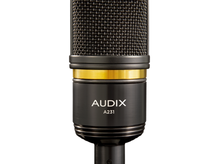 Audix A231 Condenser Microphone (Cardioid) Hot on Sale